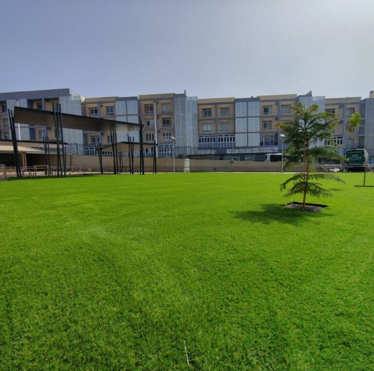 Amplia zona verde de césped artificial en una comunidad de Las Palmas